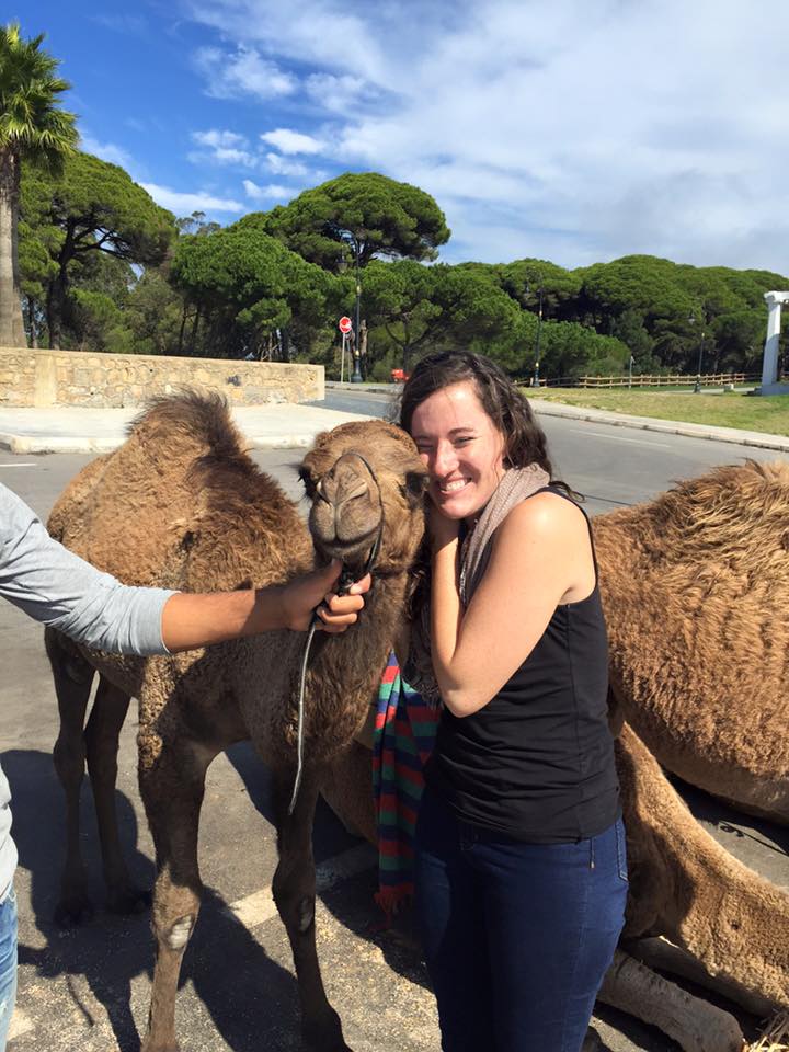 camel