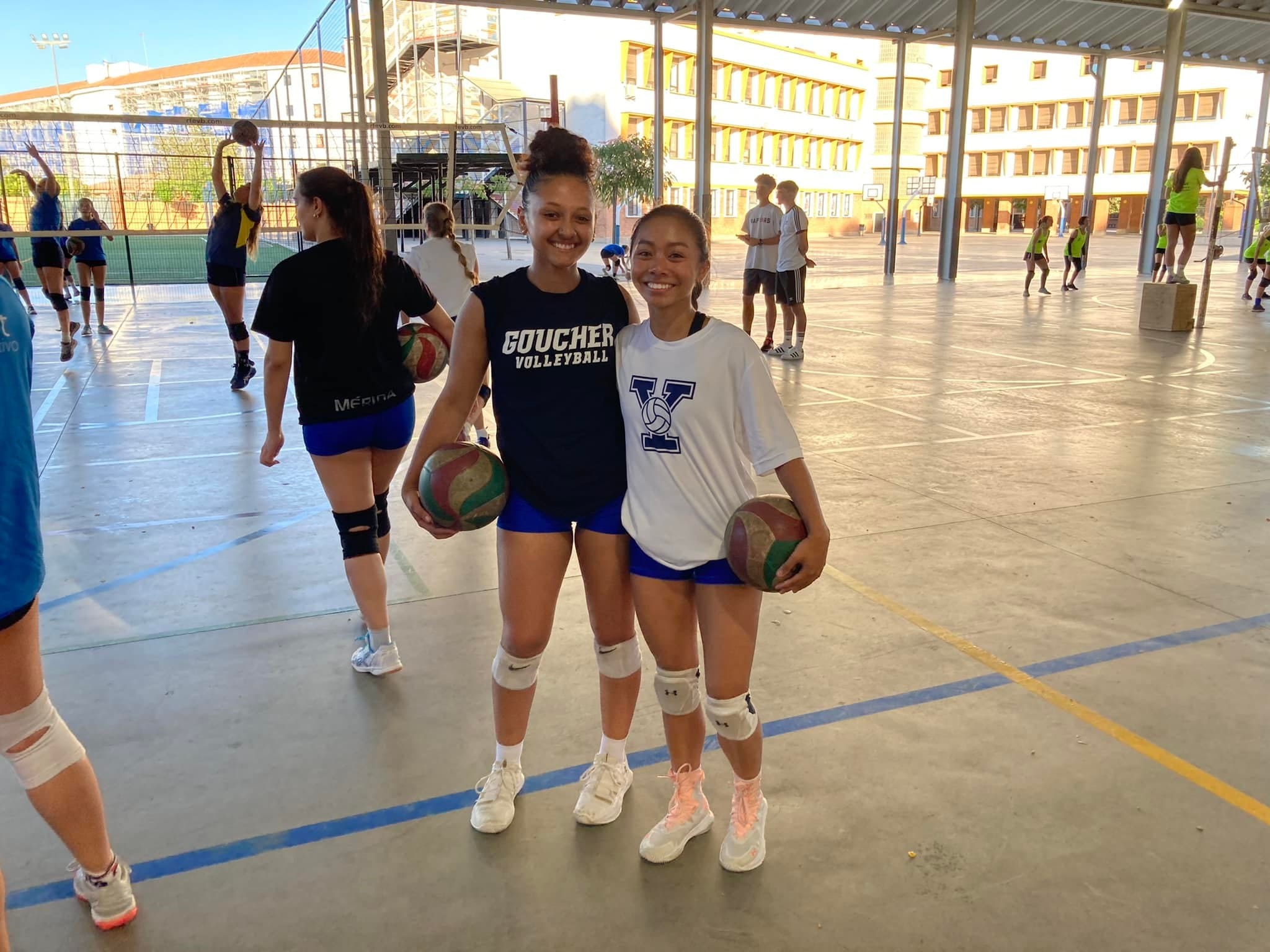 volleyball program